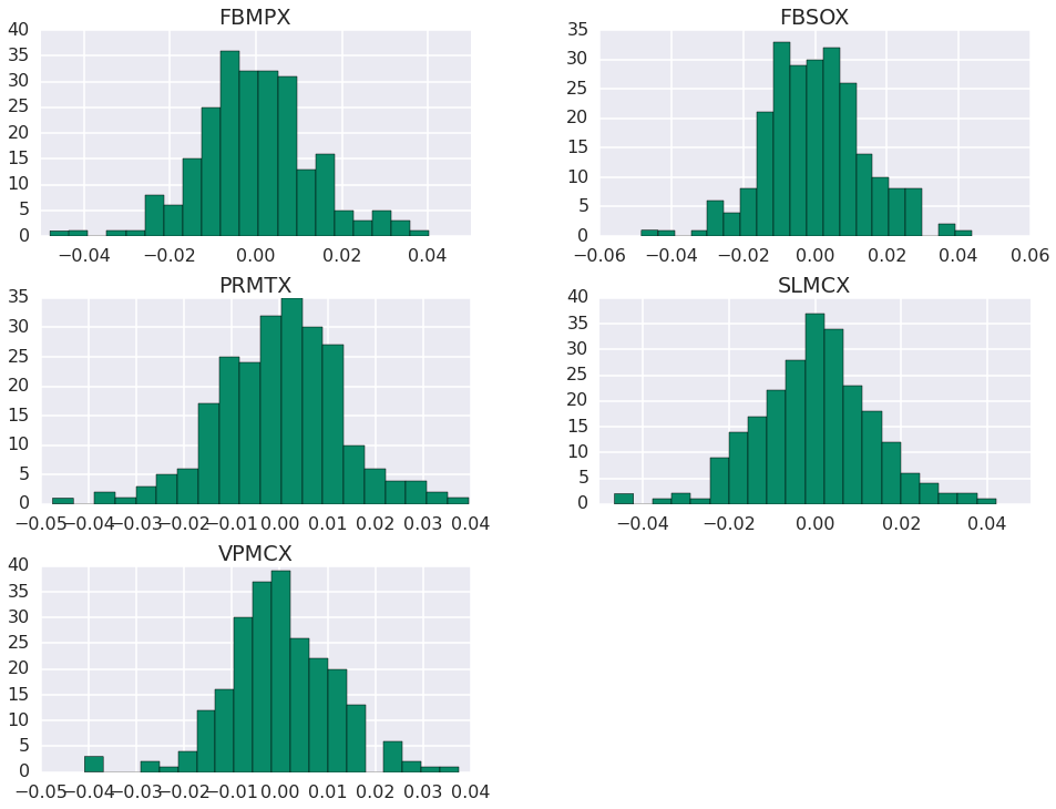 10 years Return Histogram